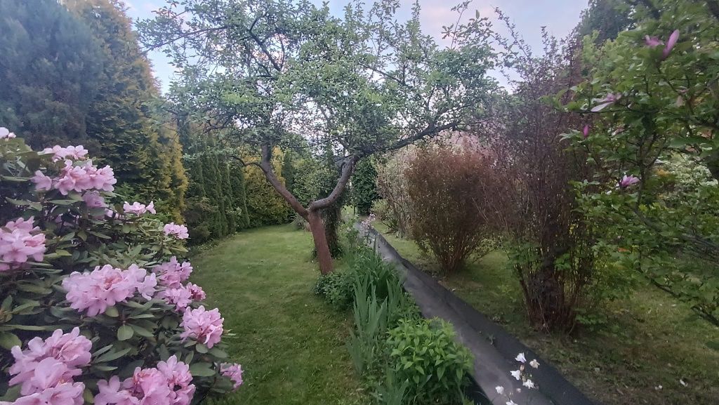 Działka rod Mysłowice. Zdjęcie 5