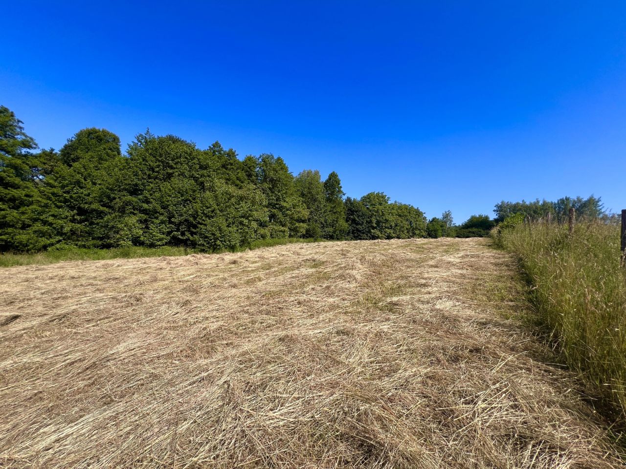 Działka budowlana Pszów, Pszów. Zdjęcie 12