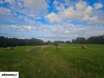 Działka siedliskowa Klewno. Zdjęcie 3