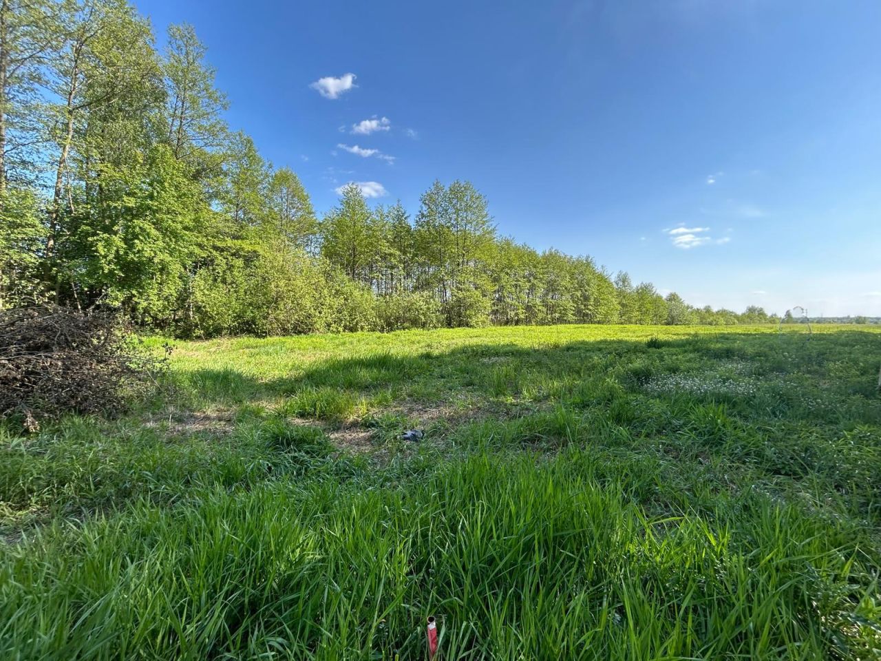 Działka budowlana Radziejowice, ul. Ossolińskich. Zdjęcie 4