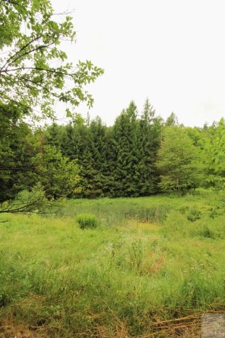 dom wolnostojący, 10 pokoi Łętownia. Zdjęcie 30