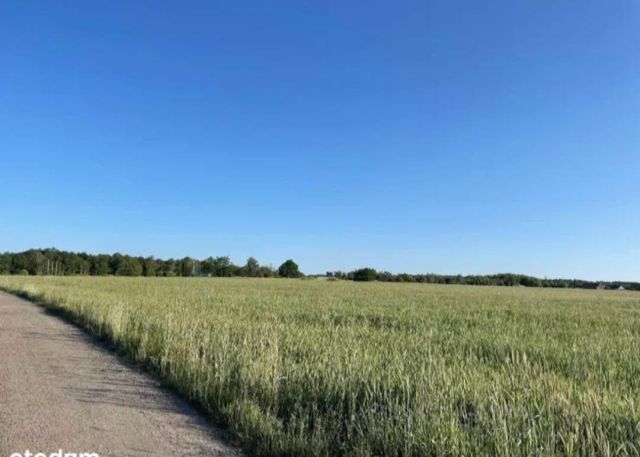 Działka inwestycyjna Prusice, ul. Polna. Zdjęcie 3