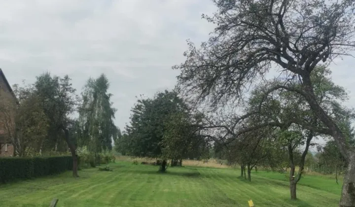 Działka budowlana Grojec