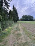 Działka rolna Karniewek. Zdjęcie 1