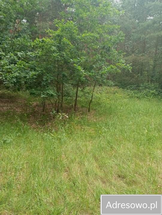 dom wolnostojący, 2 pokoje Raciążek, ul. Paśniki. Zdjęcie 4