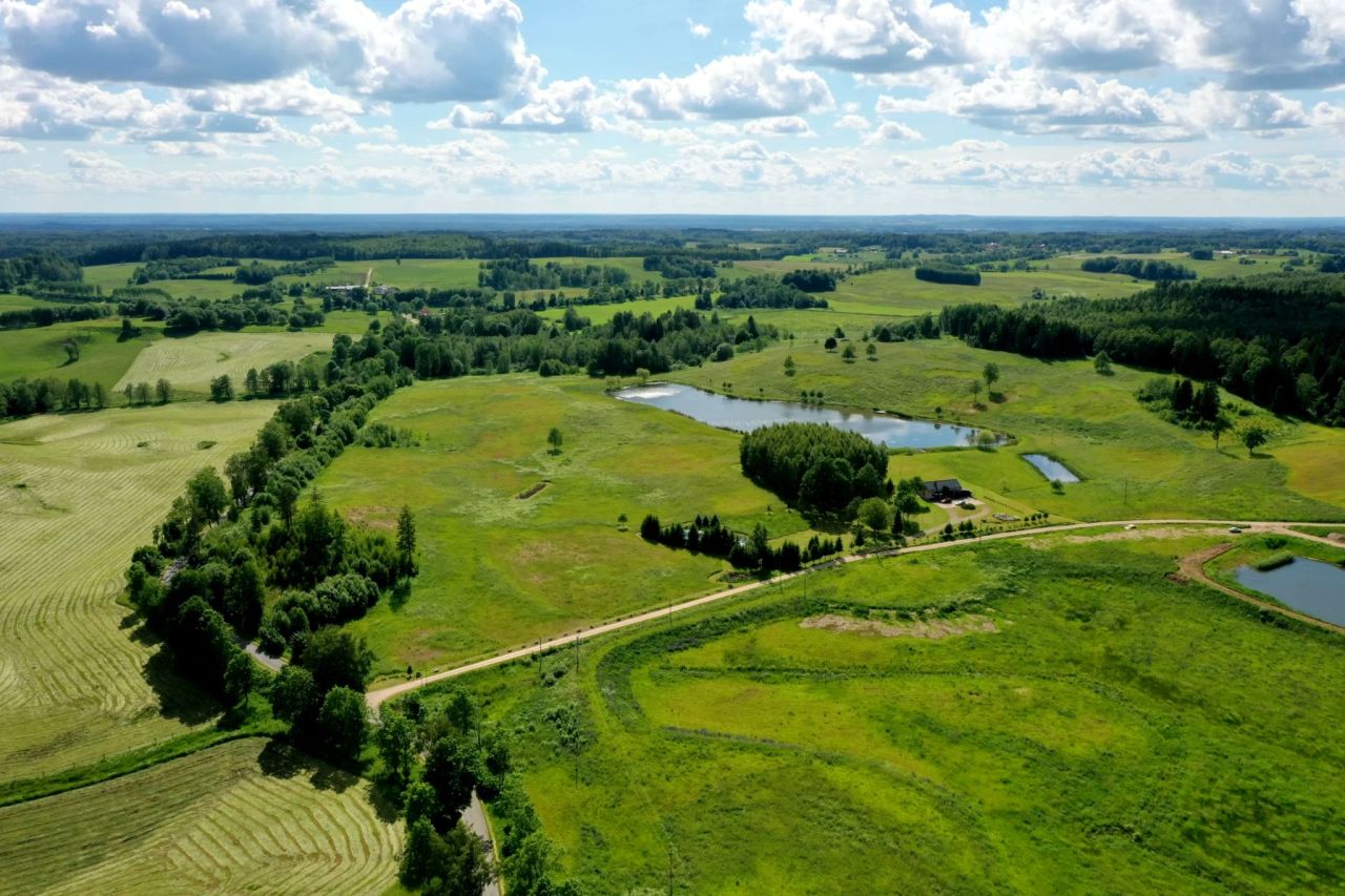 dom wolnostojący, 4 pokoje Kamionki. Zdjęcie 3