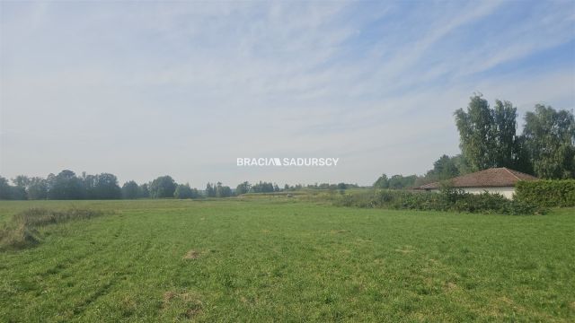 Działka inwestycyjna Cholerzyn. Zdjęcie 5