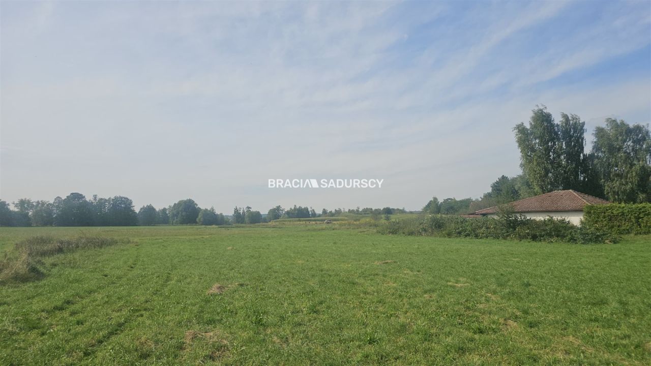 Działka inwestycyjna Cholerzyn. Zdjęcie 5