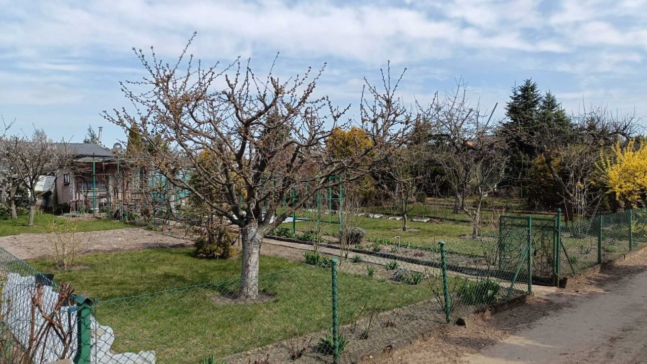 Działka rod Poznań Junikowo, ul. Jana Brzechwy. Zdjęcie 8