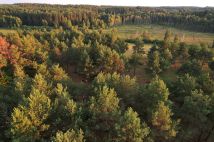 Działka budowlana Kuty. Zdjęcie 4