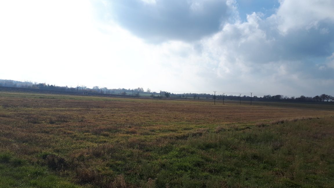 Działka inwestycyjna Kock. Zdjęcie 6