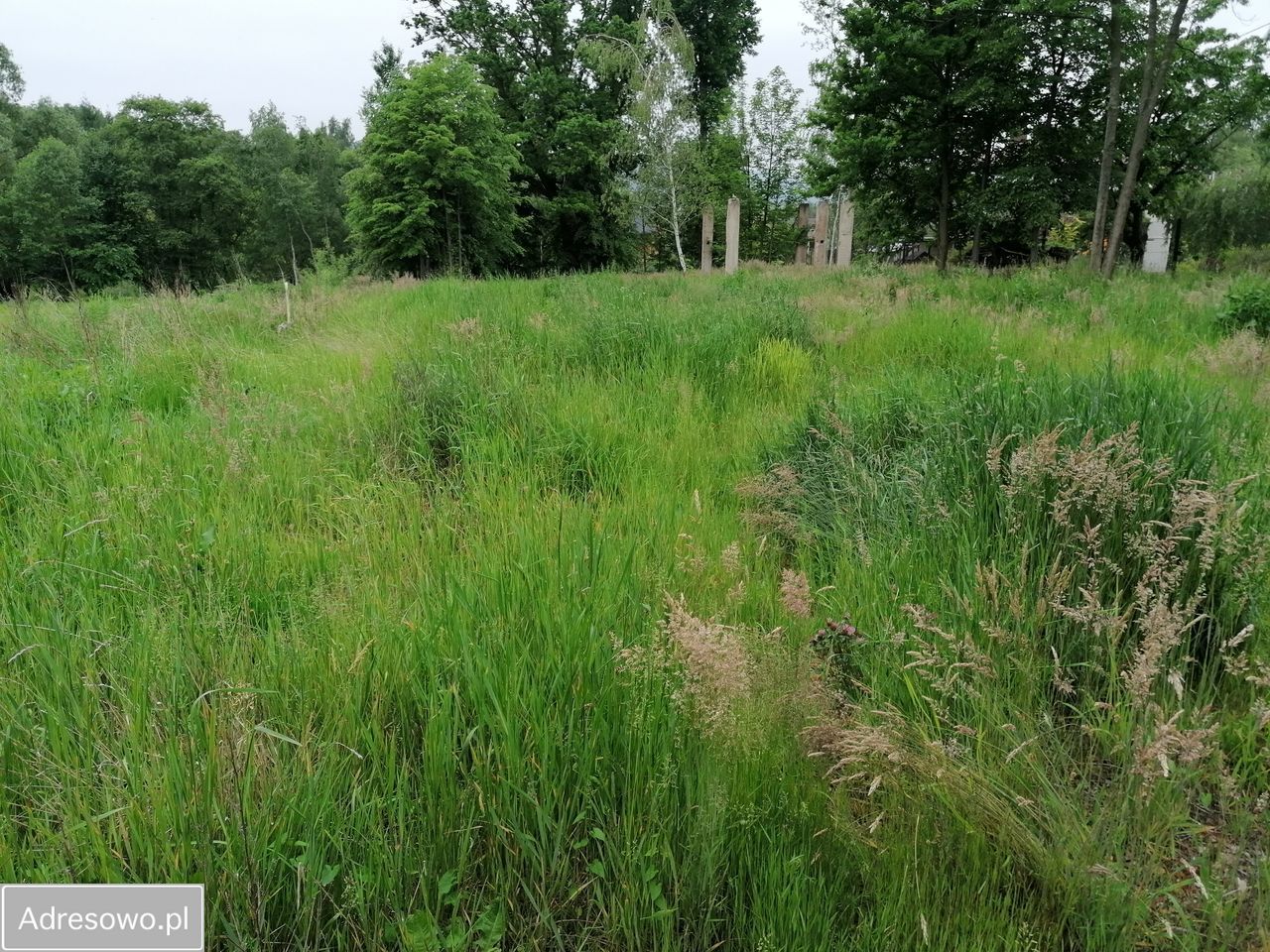 Działka budowlana Polanka. Zdjęcie 7