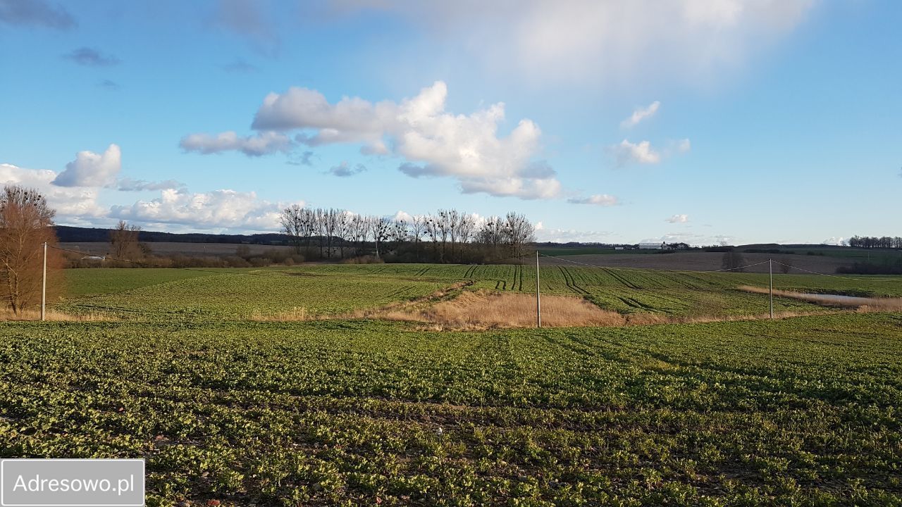 dom wolnostojący Pasłęk, ul. Kolonia Zdroje. Zdjęcie 18