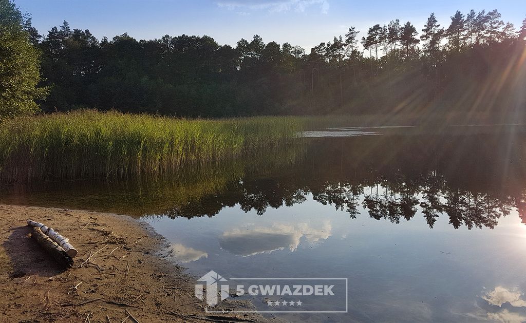 Działka siedliskowa Czochryń. Zdjęcie 15