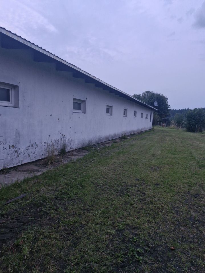 gospodarstwo Kania. Zdjęcie 4