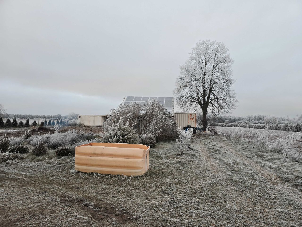 Działka siedliskowa Kęsowo. Zdjęcie 6