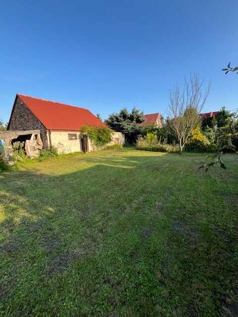 bliźniak Kutno. Zdjęcie 1