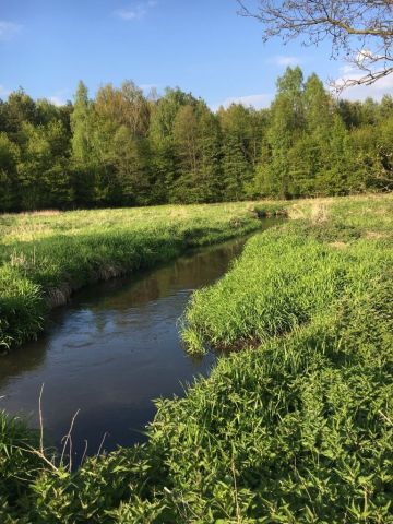 Działka rolna Wołucza. Zdjęcie 1