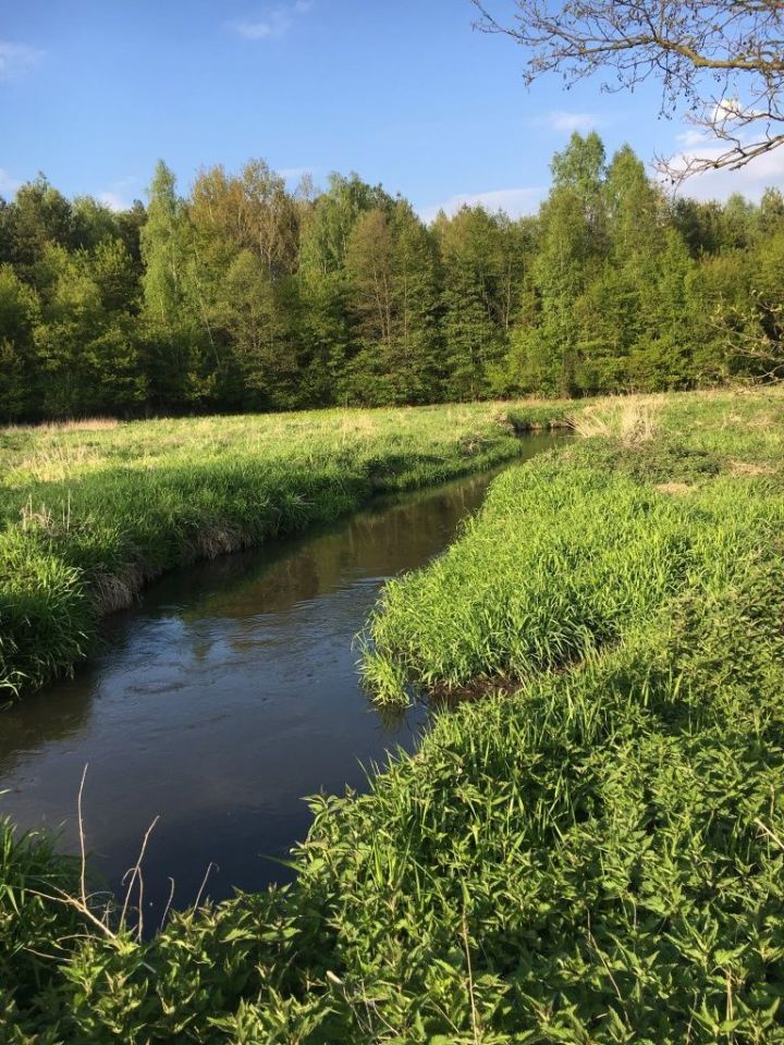 Działka rolna Wołucza. Zdjęcie 1