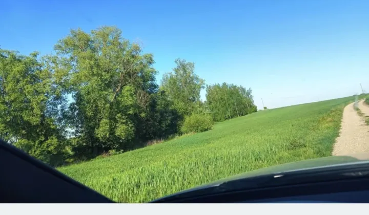 Działka rolno-budowlana Trąbin-Rumunki