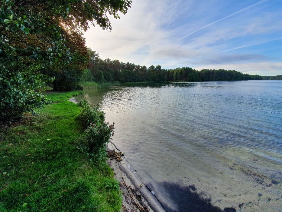 Działka leśna Broda. Zdjęcie 2