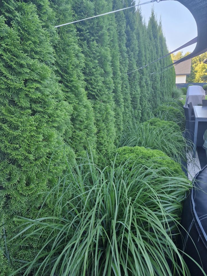 dom wolnostojący, 4 pokoje Serock, ul. Wyzwolenia. Zdjęcie 47