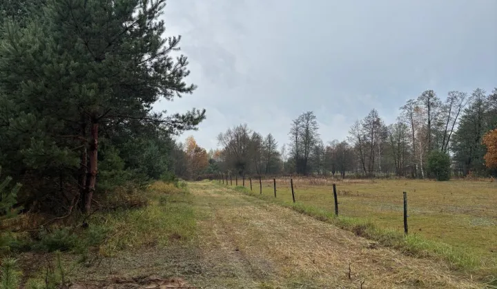 Działka budowlana Secymin Polski