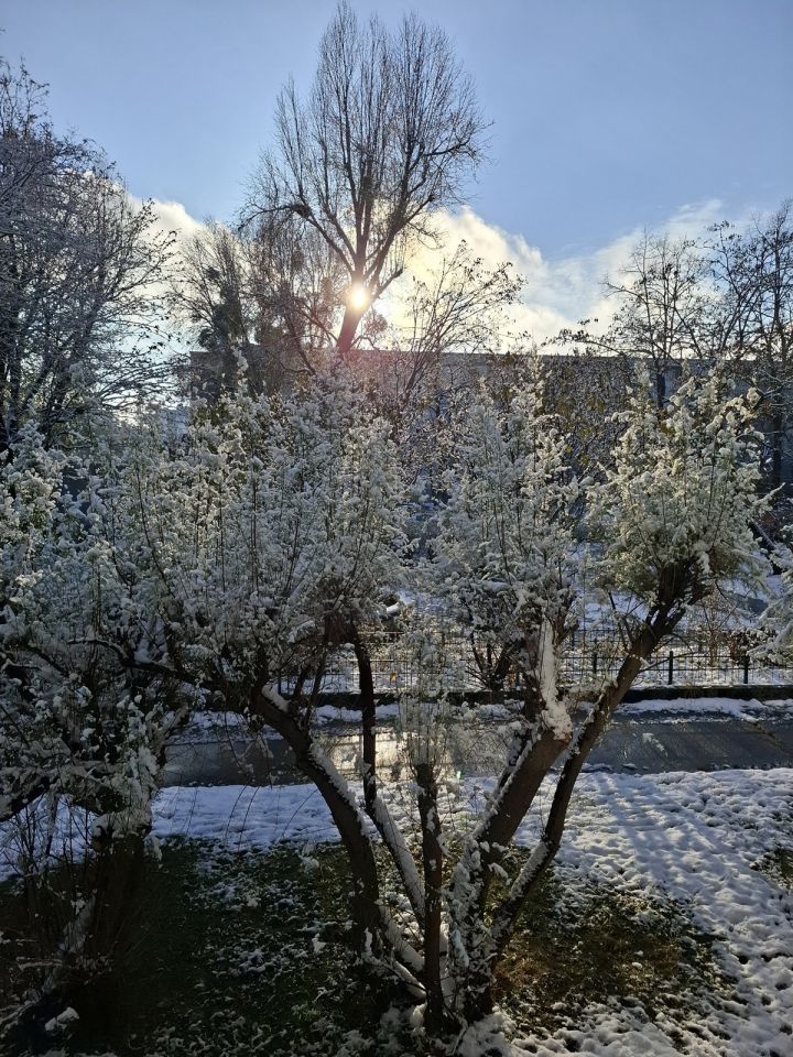 Mieszkanie 2-pokojowe Warszawa Bielany, ul. Jana Kochanowskiego. Zdjęcie 35