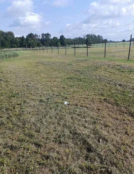 Działka rekreacyjna Gawliki Małe. Zdjęcie 5