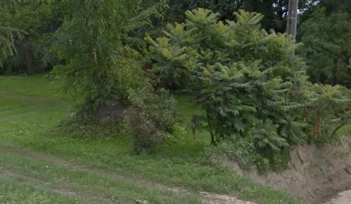 Działka rolno-budowlana Dobranowice