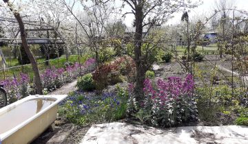 Działka rod Szczecin Krzekowo, ul. Wronia