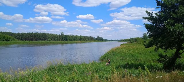 Działka budowlana Długie Grodzieckie Nad Jeziorem. Zdjęcie 1