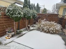 Mieszkanie 3-pokojowe Kobyłka, ul. Mieszka I. Zdjęcie 3