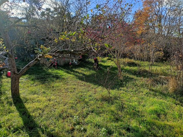 Działka rod Wejherowo, ul. mjr. Henryka Sucharskiego. Zdjęcie 1