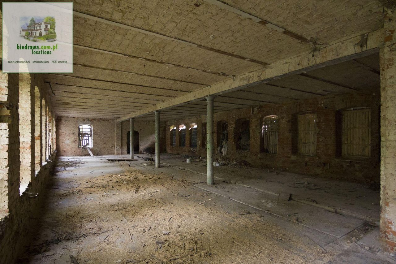 Lokal Duszniki-Zdrój. Zdjęcie 13