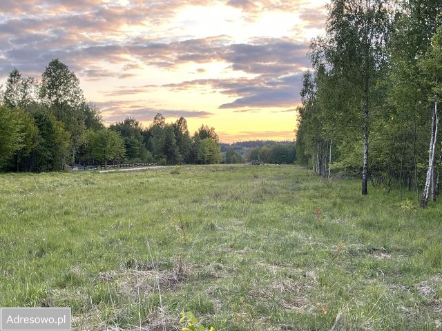Działka budowlana Parszów. Zdjęcie 1