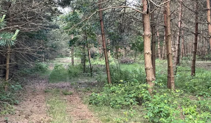 Działka budowlana Anielin