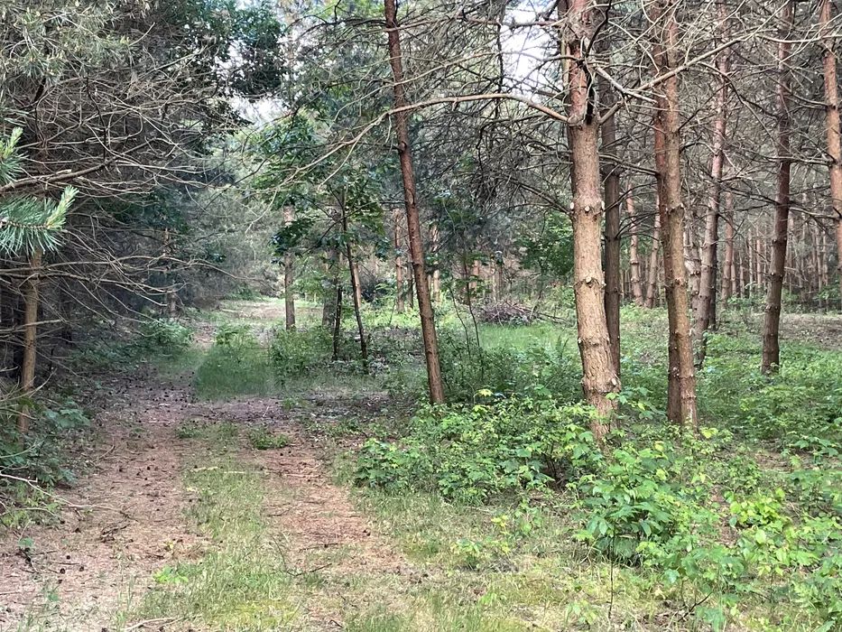 Działka budowlana Anielin