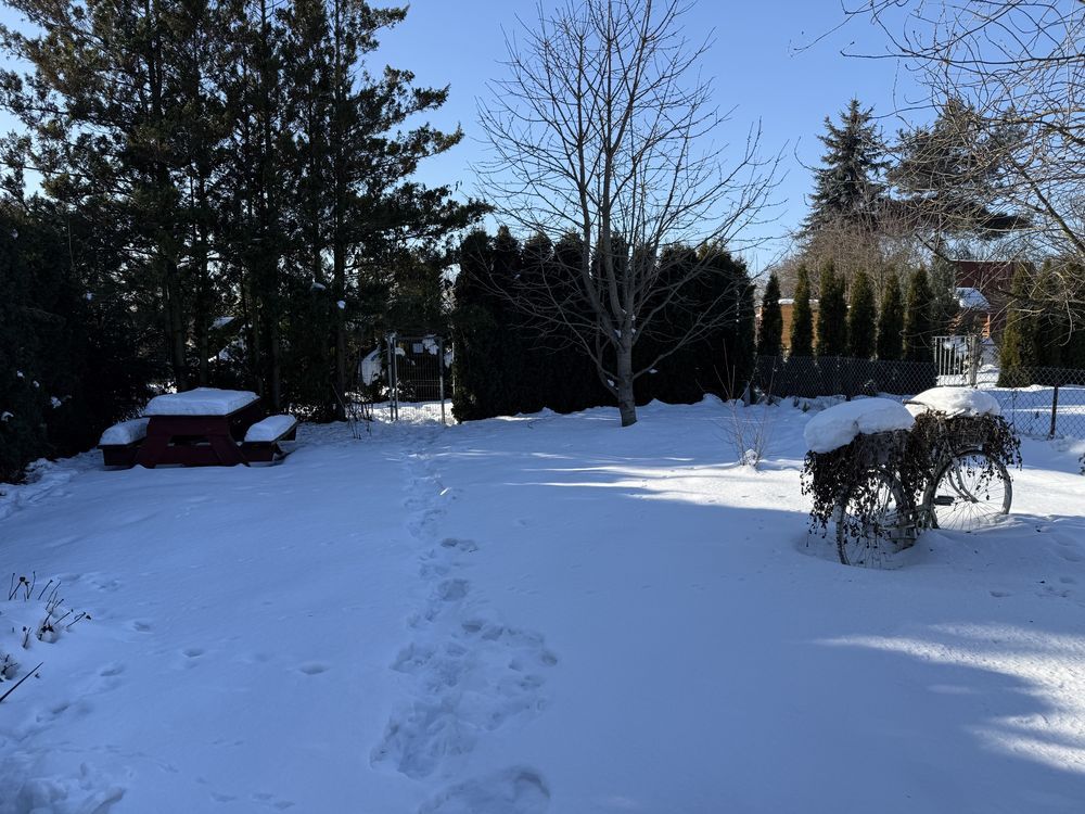 Działka rod Zakroczym. Zdjęcie 8