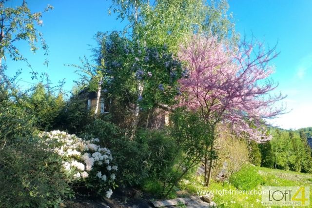 Działka budowlana Rozdziele. Zdjęcie 1