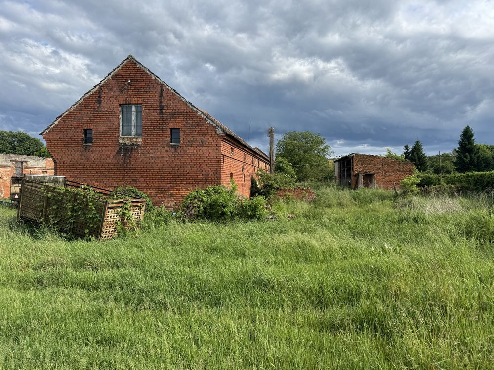 gospodarstwo Szprotawa, ul. Kopernika