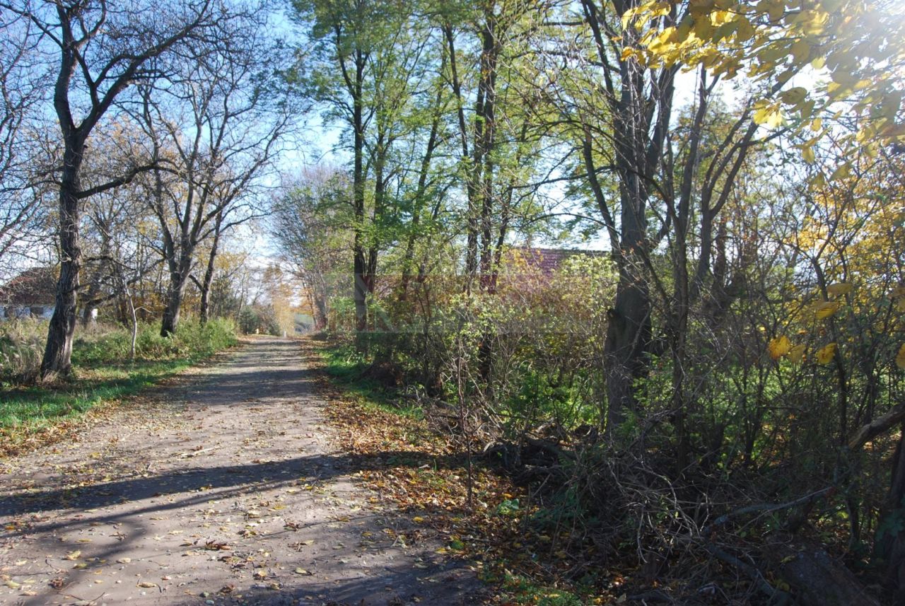 dom wolnostojący, 4 pokoje Wierzbna. Zdjęcie 3