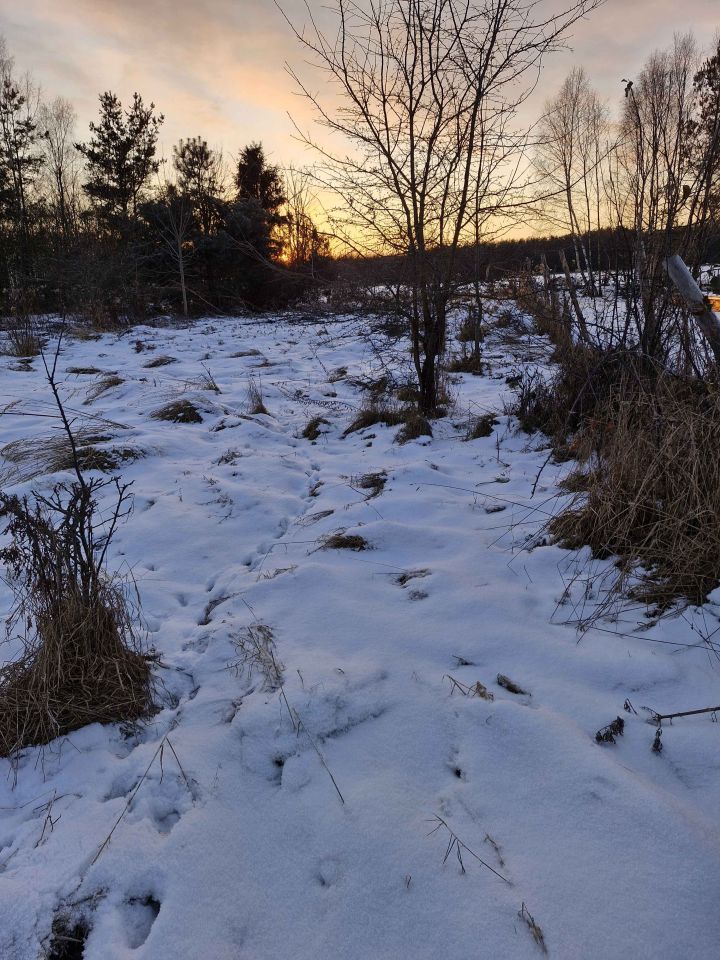 Działka budowlana Chełstów. Zdjęcie 7