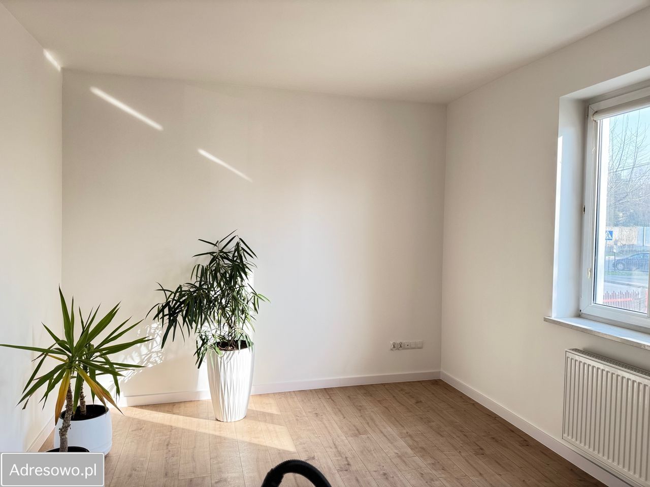 Lokal Mielec, ul. Sandomierska. Zdjęcie 6