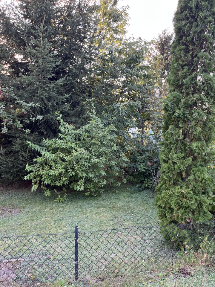 Działka rod Działdowo Kolgartowo, ul. Olsztyńska. Zdjęcie 6