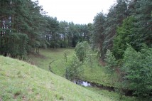 Działka siedliskowa Nowa Przerośl. Zdjęcie 1