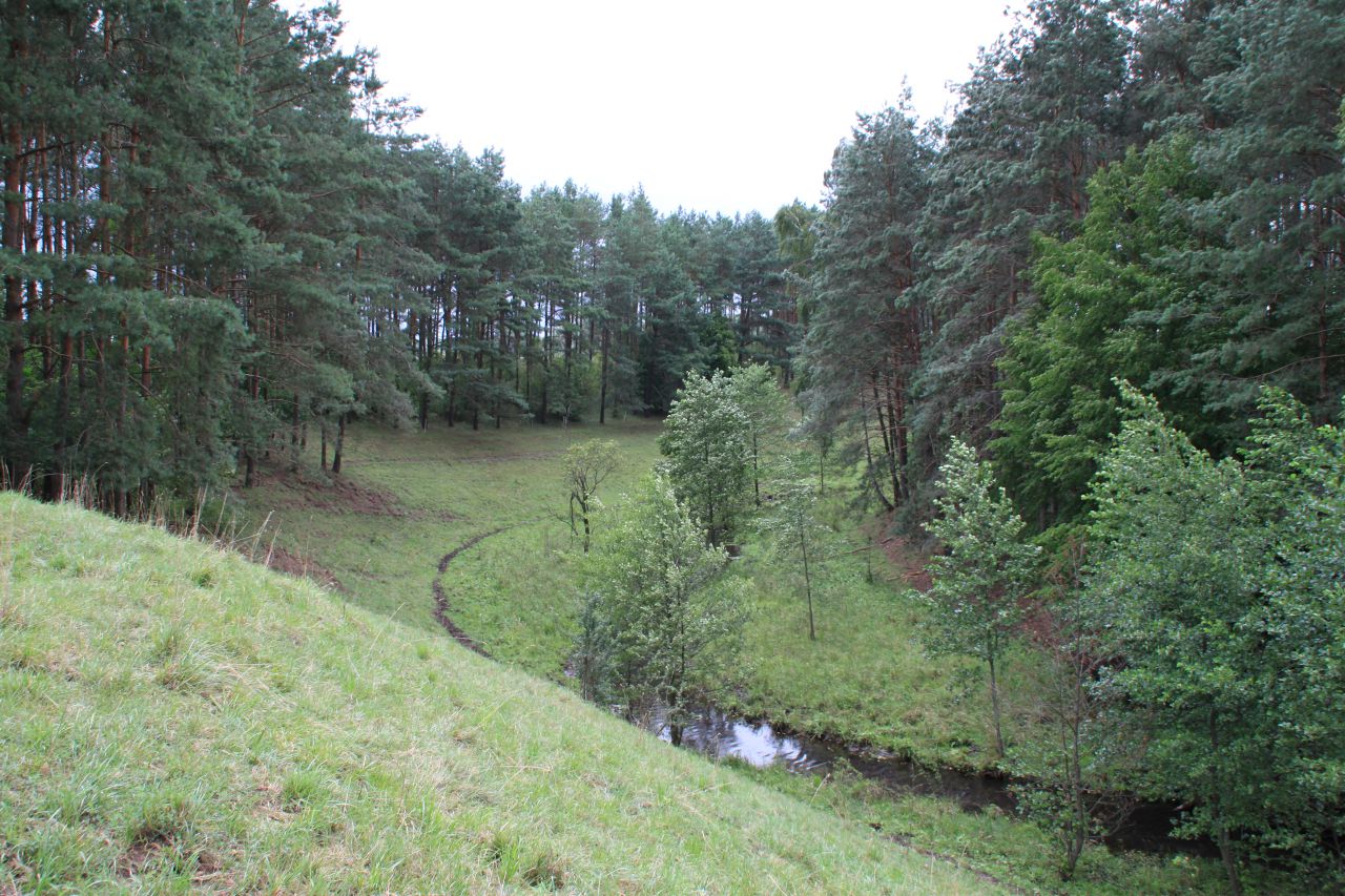 Działka siedliskowa Nowa Przerośl. Zdjęcie 2