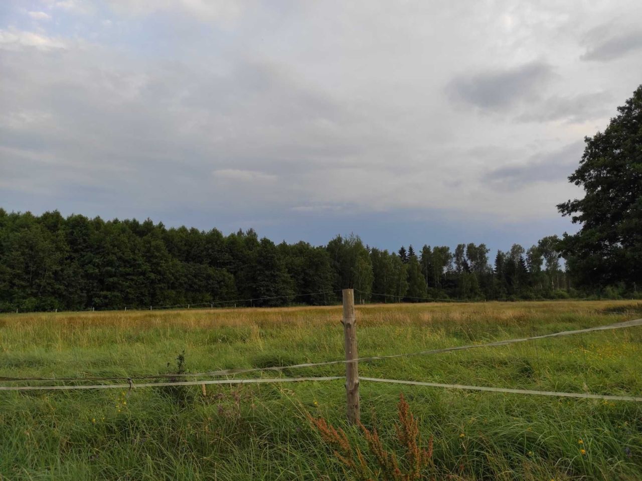 Działka rolno-budowlana Krzywczyce. Zdjęcie 6