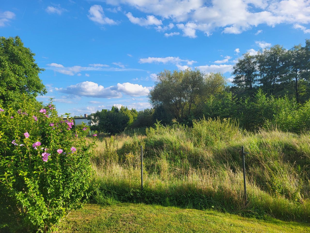 Działka budowlana Radomia Orzewo. Zdjęcie 22