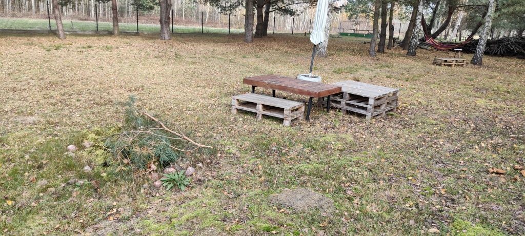 Działka rolno-budowlana Antoniew. Zdjęcie 2